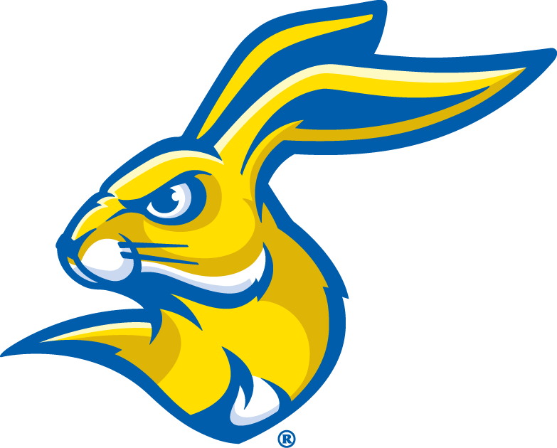 South Dakota State Jackrabbits 2008-Pres Partial Logo v2 iron on transfers for T-shirts